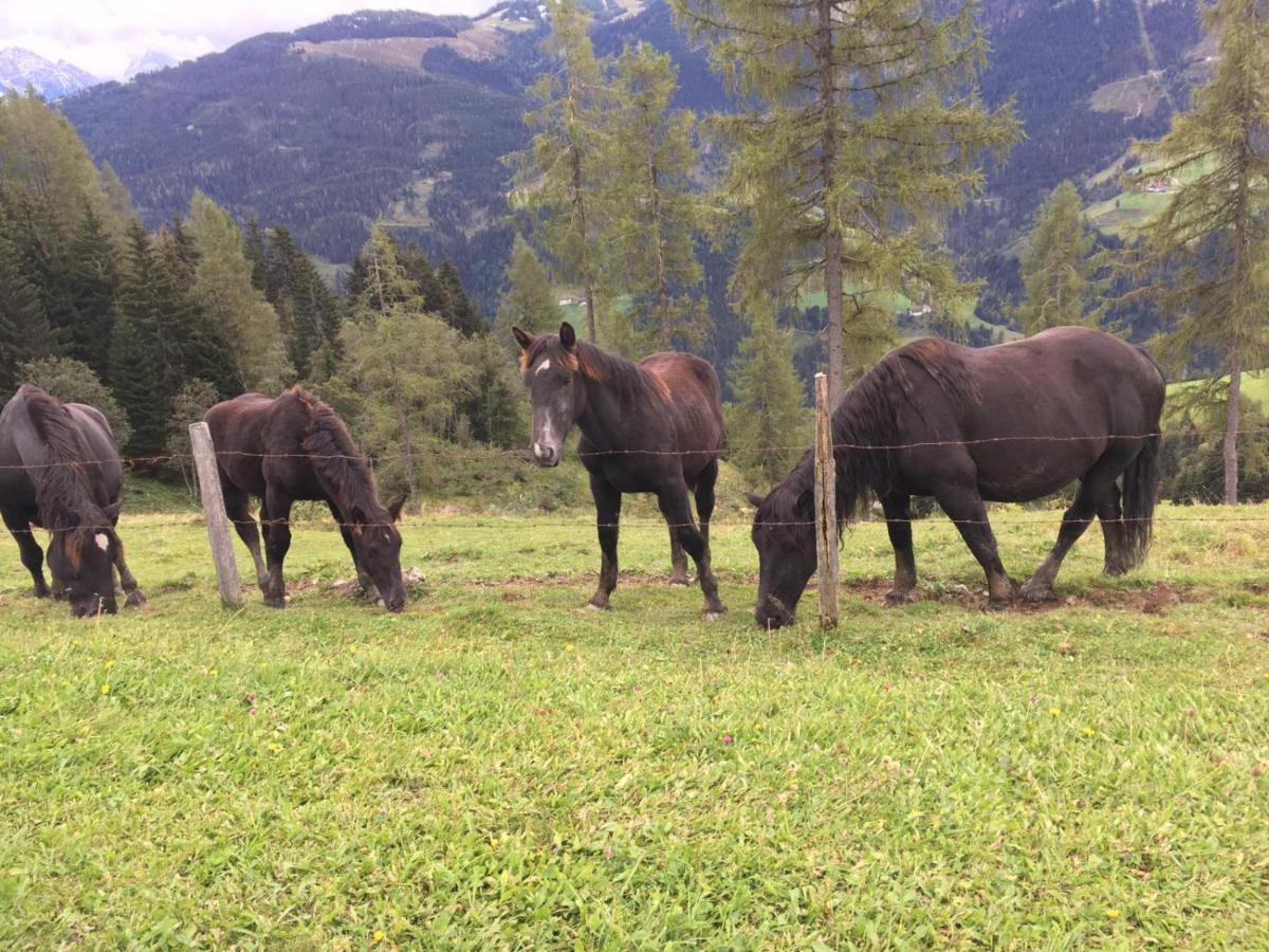Lindbichlhof Urlaub Am Bio Bauernhof Apartment Sankt Johann im Pongau Bagian luar foto