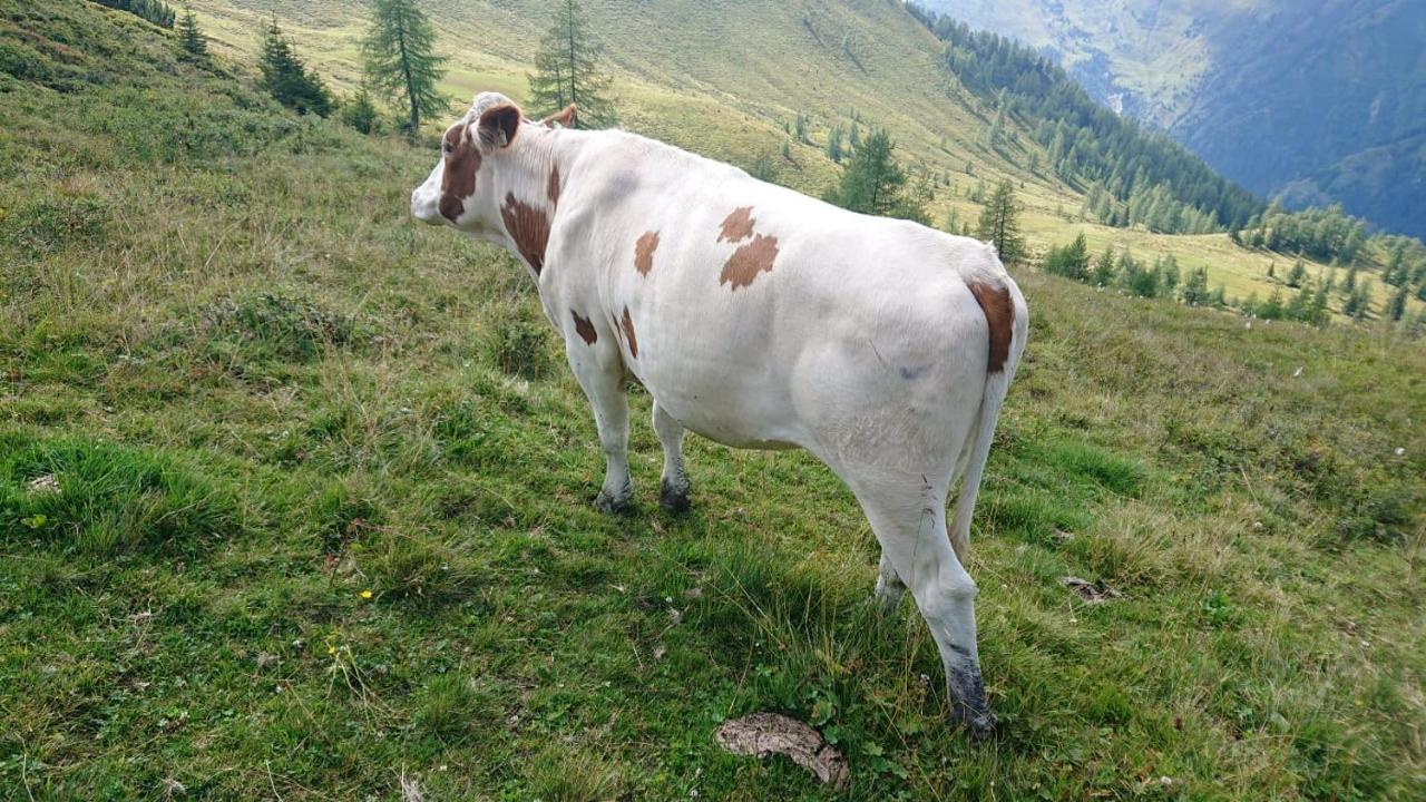 Lindbichlhof Urlaub Am Bio Bauernhof Apartment Sankt Johann im Pongau Bagian luar foto