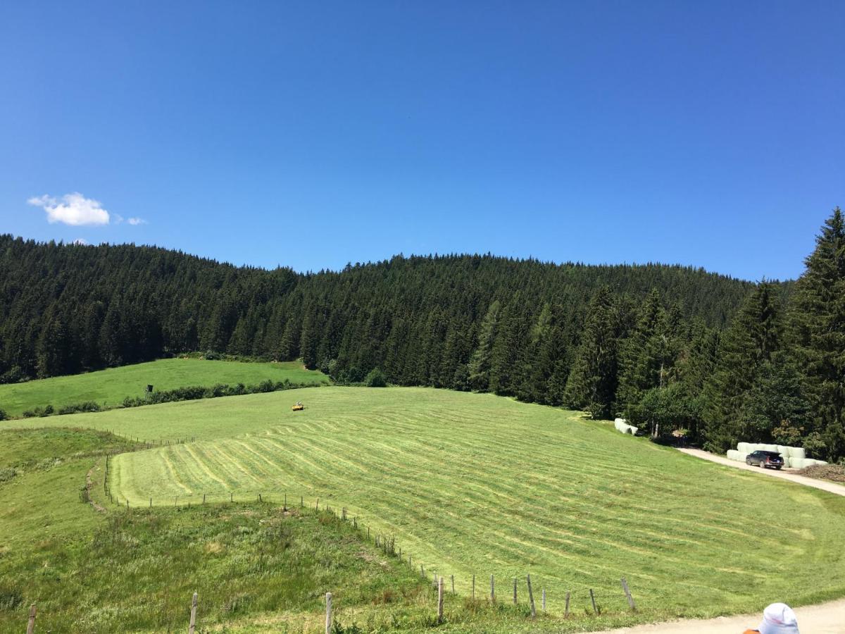 Lindbichlhof Urlaub Am Bio Bauernhof Apartment Sankt Johann im Pongau Bagian luar foto
