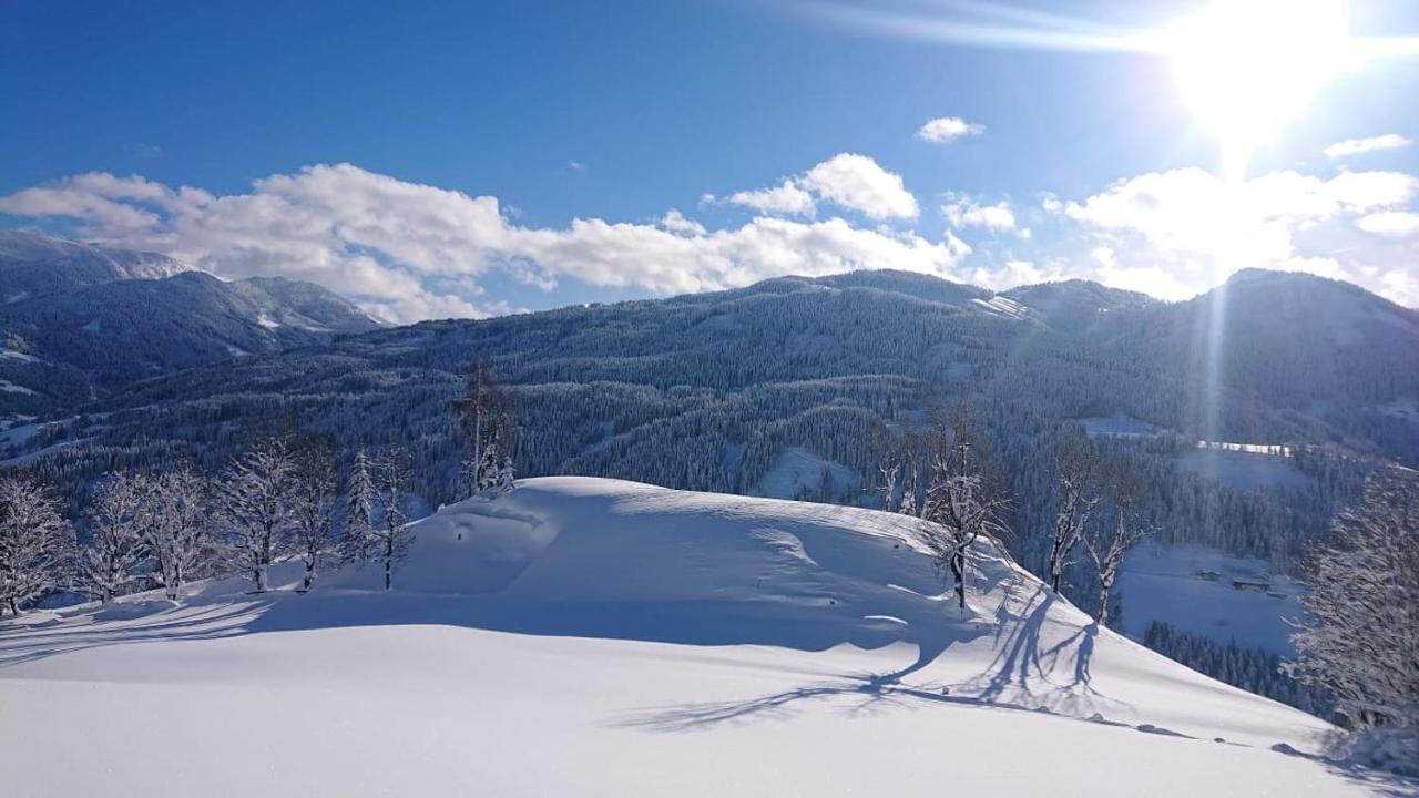 Lindbichlhof Urlaub Am Bio Bauernhof Apartment Sankt Johann im Pongau Bagian luar foto
