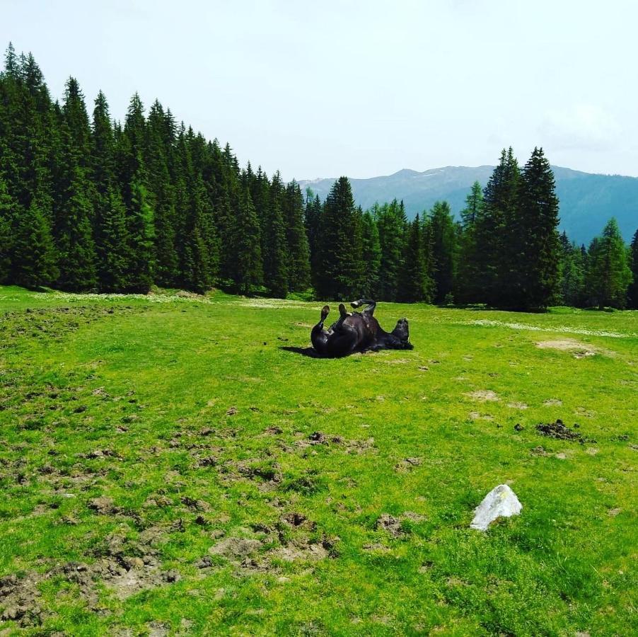 Lindbichlhof Urlaub Am Bio Bauernhof Apartment Sankt Johann im Pongau Bagian luar foto
