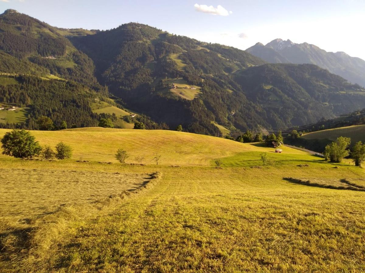 Lindbichlhof Urlaub Am Bio Bauernhof Apartment Sankt Johann im Pongau Bagian luar foto