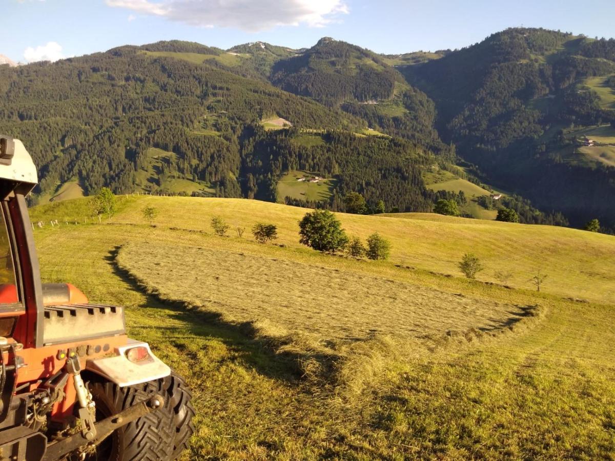 Lindbichlhof Urlaub Am Bio Bauernhof Apartment Sankt Johann im Pongau Bagian luar foto