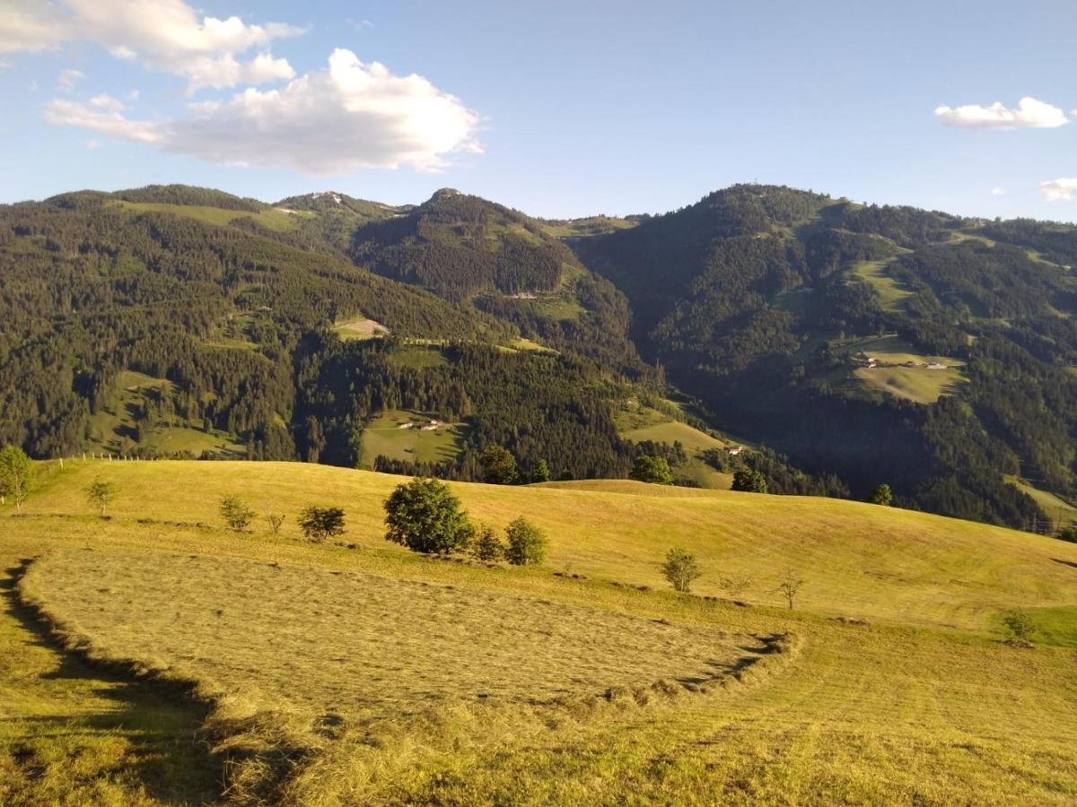 Lindbichlhof Urlaub Am Bio Bauernhof Apartment Sankt Johann im Pongau Bagian luar foto