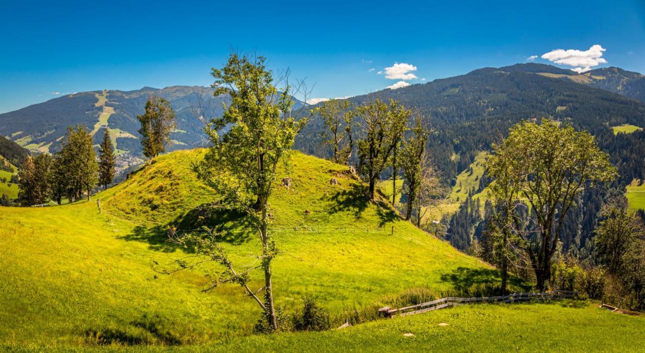 Lindbichlhof Urlaub Am Bio Bauernhof Apartment Sankt Johann im Pongau Bagian luar foto