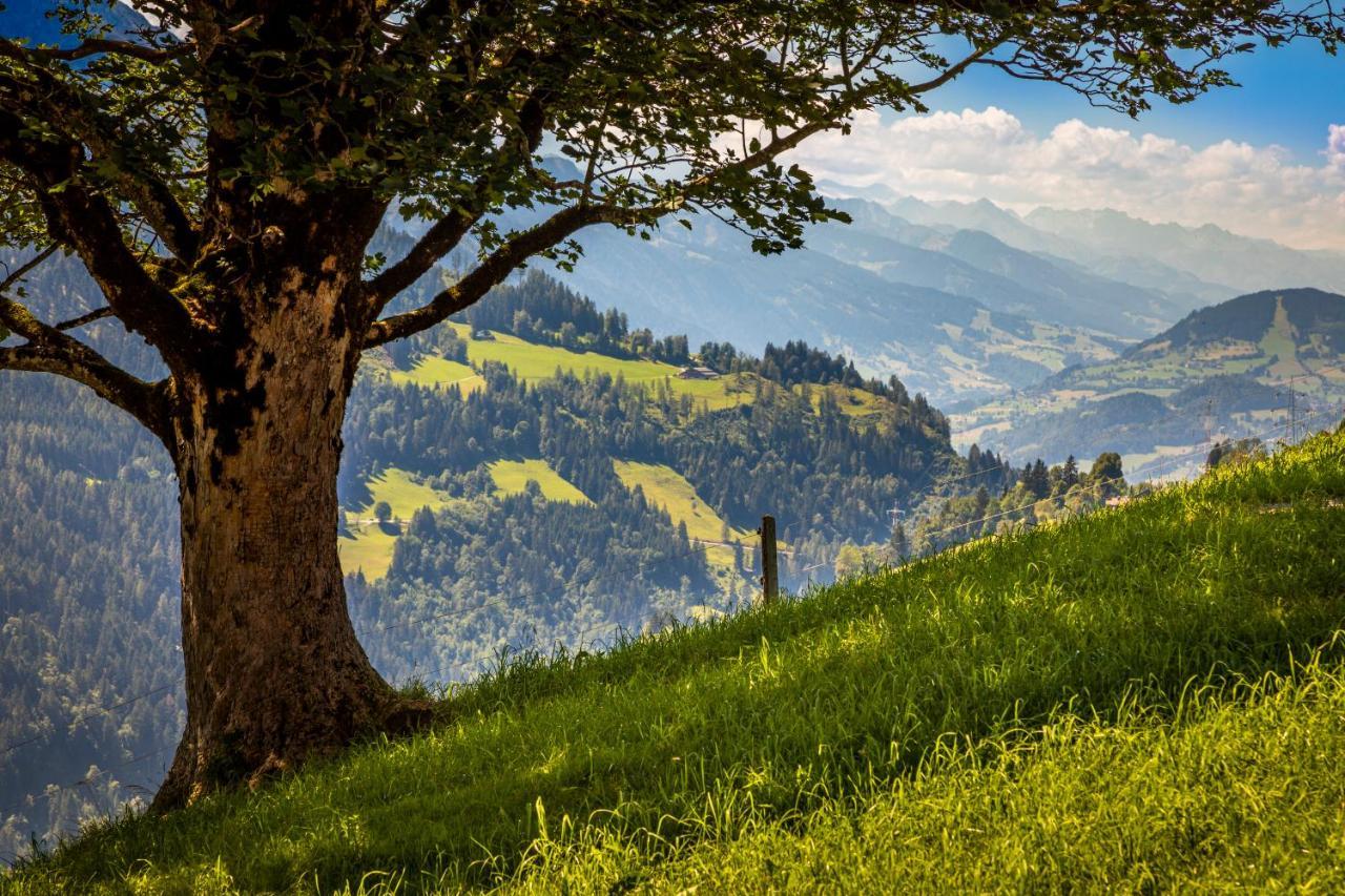 Lindbichlhof Urlaub Am Bio Bauernhof Apartment Sankt Johann im Pongau Bagian luar foto