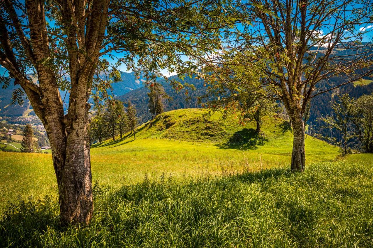 Lindbichlhof Urlaub Am Bio Bauernhof Apartment Sankt Johann im Pongau Bagian luar foto